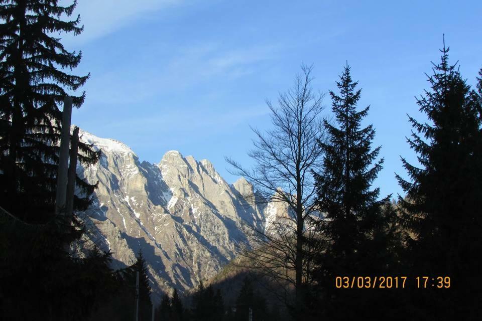 Готель Valbona Eco Camping Екстер'єр фото